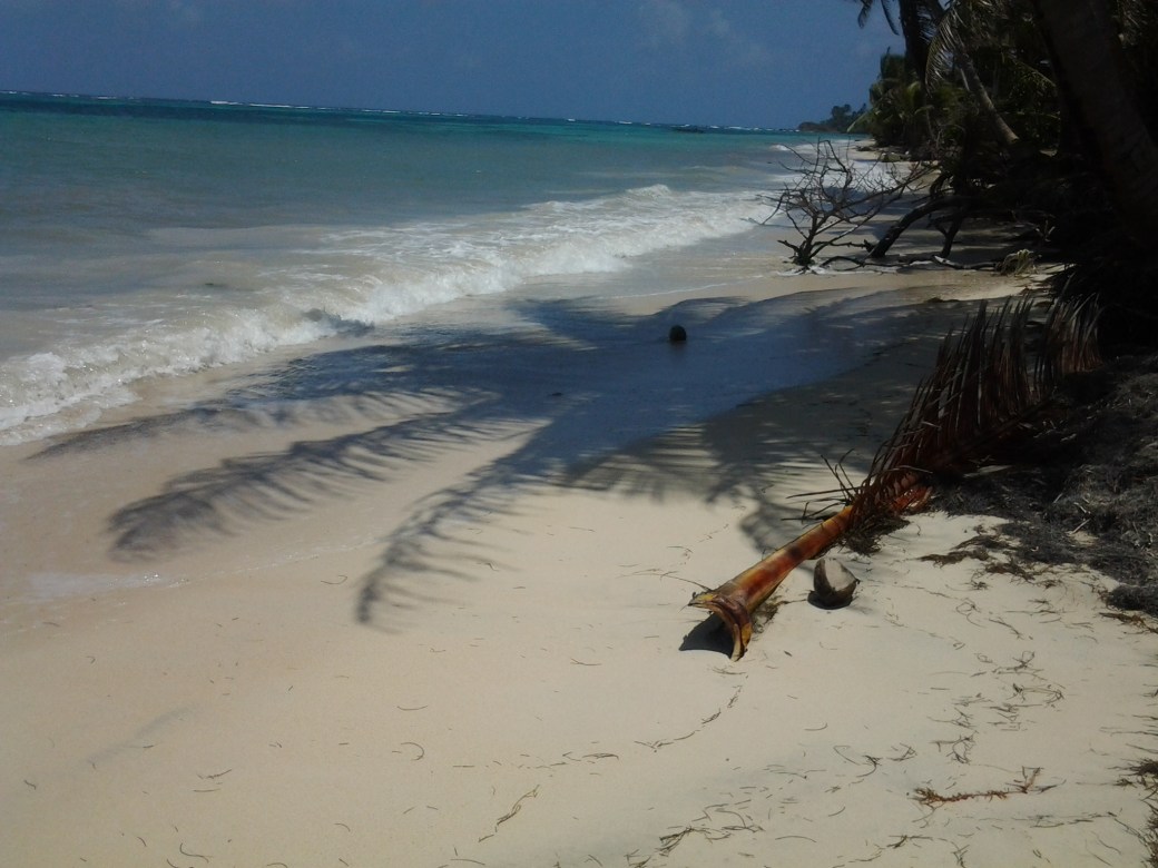 little corn island beach nicaragua